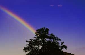 sugar water rainbow experiment