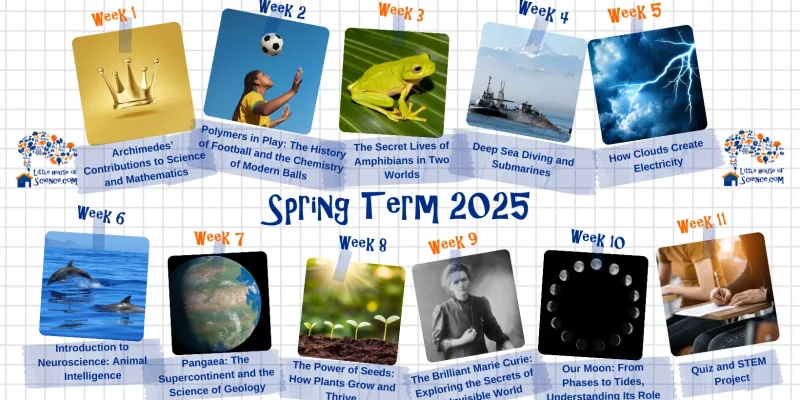 Spring_Term_2025_Facebook_(Facebook_Cover)