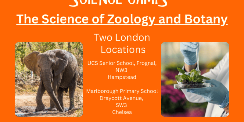 science camps london may half term
